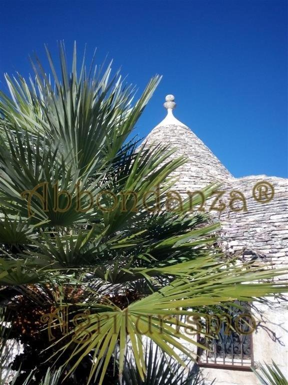 Vila Agriturismo Abbondanza Alberobello Exteriér fotografie