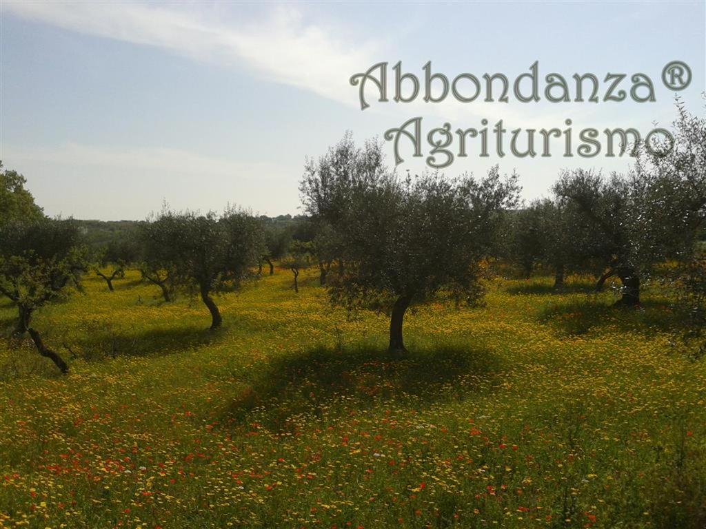 Vila Agriturismo Abbondanza Alberobello Exteriér fotografie