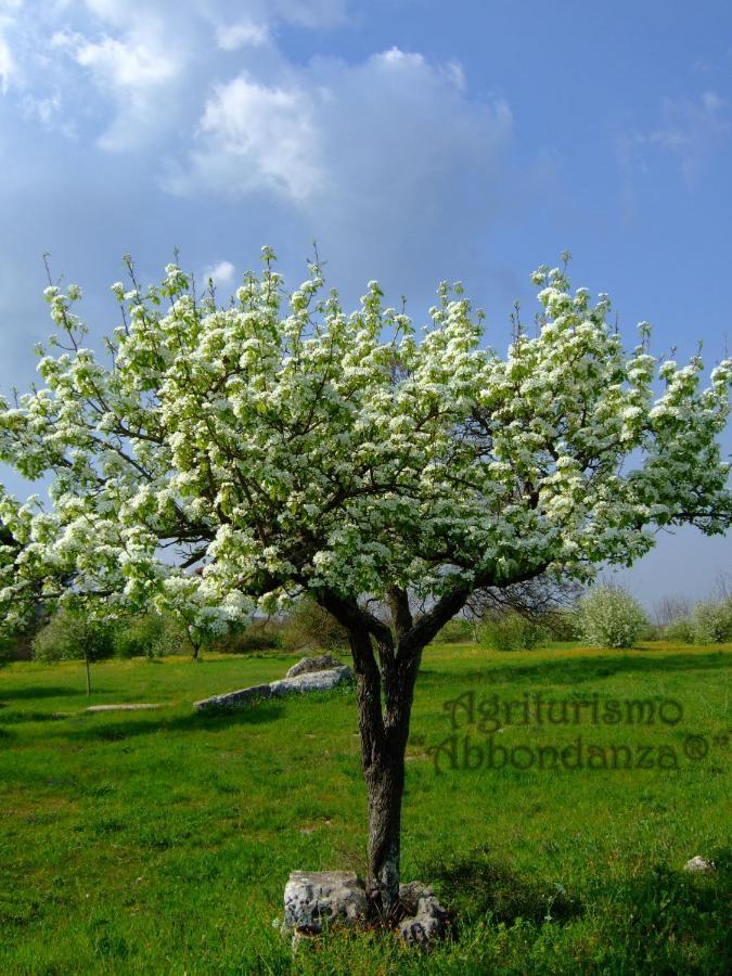 Vila Agriturismo Abbondanza Alberobello Exteriér fotografie